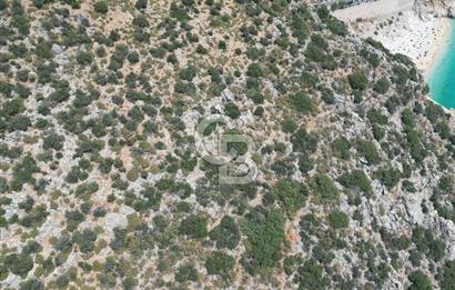 CB GİZ'DEN KAPUTAŞ PLAJI VE ADALAR MANZARALI SATILIK 2B TARLA