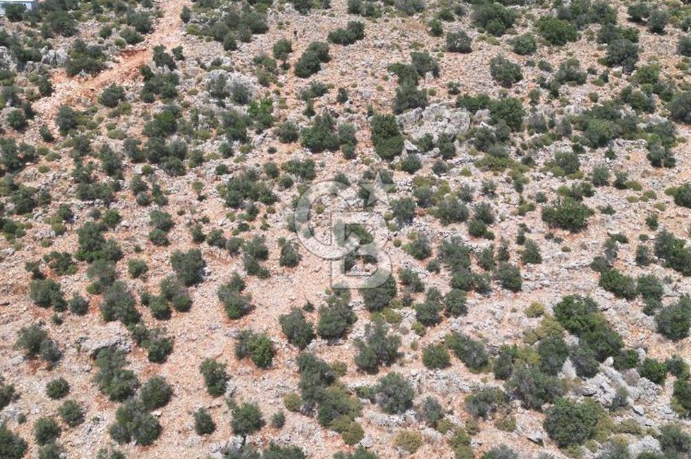 CB GİZ'DEN KAPUTAŞ PLAJI VE ADALAR MANZARALI SATILIK 2B TARLA