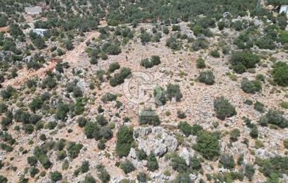 CB GİZ'DEN KAPUTAŞ PLAJI VE ADALAR MANZARALI SATILIK 2B TARLA