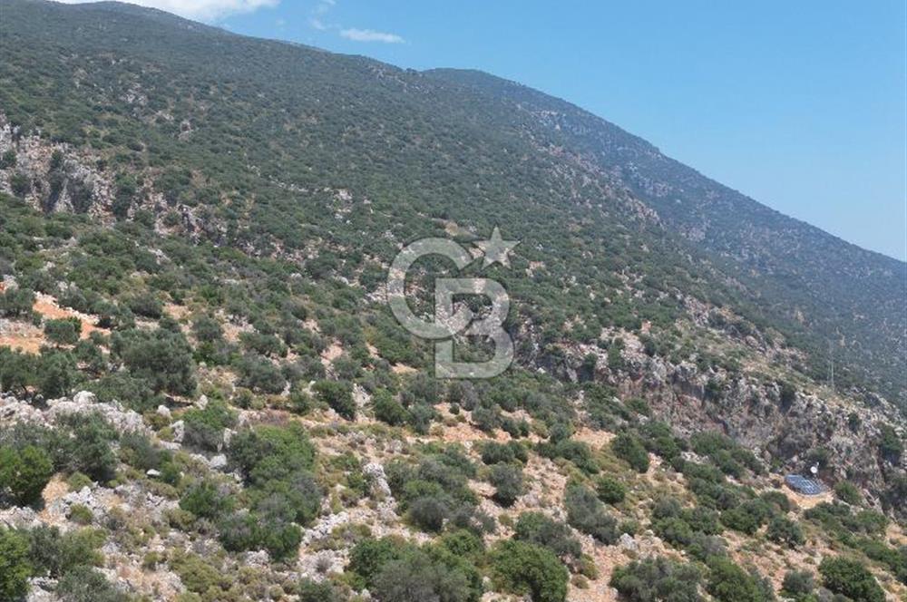 CB GİZ'DEN KAPUTAŞ PLAJI VE ADALAR MANZARALI SATILIK 2B TARLA