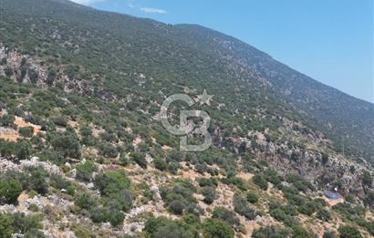 CB GİZ'DEN KAPUTAŞ PLAJI VE ADALAR MANZARALI SATILIK 2B TARLA