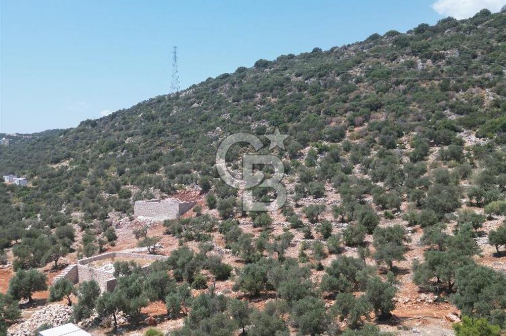 CB GİZ'DEN KAPUTAŞ PLAJI VE ADALAR MANZARALI SATILIK 2B TARLA