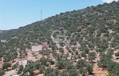 CB GİZ'DEN KAPUTAŞ PLAJI VE ADALAR MANZARALI SATILIK 2B TARLA