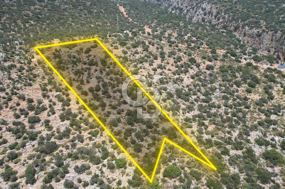 CB GİZ'DEN KAPUTAŞ PLAJI VE ADALAR MANZARALI SATILIK 2B TARLA