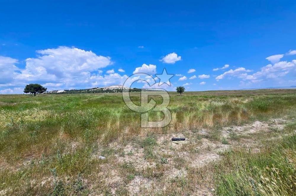 Afyon Dazkırı Esentepe de 346 M² Satılık 4 Kat Fırsat Arsa