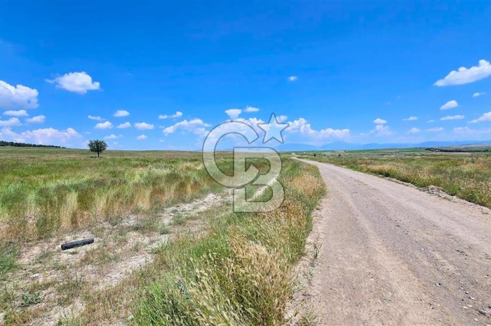 Afyon Dazkırı Esentepe de 346 M² Satılık 4 Kat Fırsat Arsa