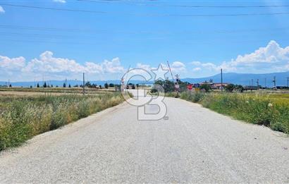 Afyon Dazkırı Esentepe de 346 M² Satılık 4 Kat Fırsat Arsa