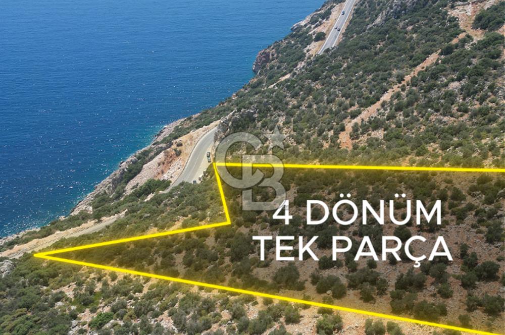 CB GİZ'DEN KAPUTAŞ PLAJI VE ADALAR MANZARALI SATILIK 2B TARLA
