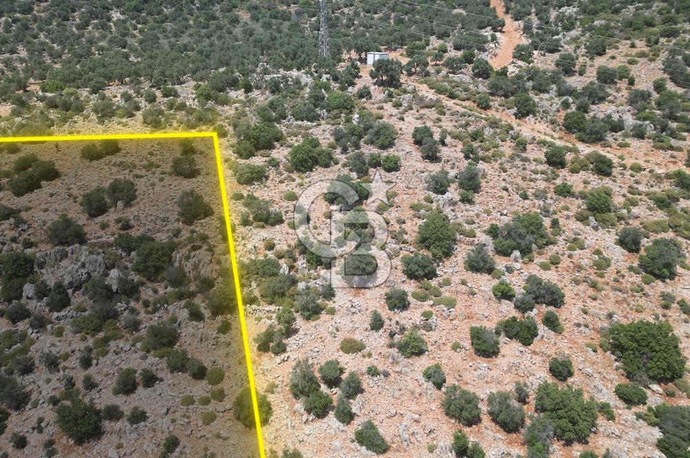 CB GİZ'DEN KAPUTAŞ PLAJI VE ADALAR MANZARALI SATILIK 2B TARLA