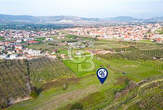 Foça Yenibağarasında Satılık Tarla - 9 - 352548