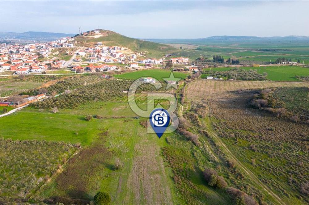 Foça Yenibağarasında Satılık Tarla
