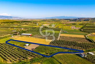 Foça Gerenköy'de Satılık 212 m2 Tarla - 1 - 352558