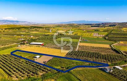 Foça Gerenköy'de Satılık 212 m2 Tarla