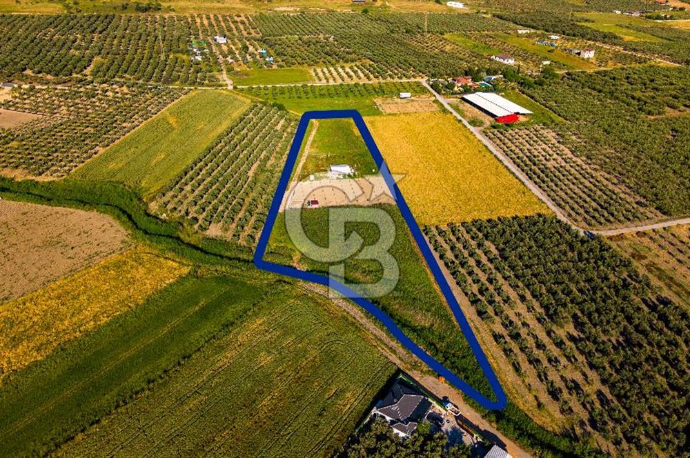 Foça Gerenköy'de Satılık 212 m2 Tarla