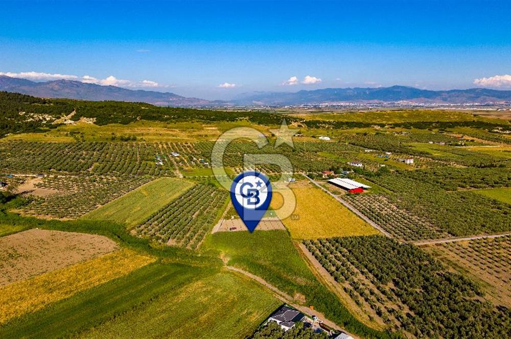 Foça Gerenköy'de Satılık 212 m2 Tarla