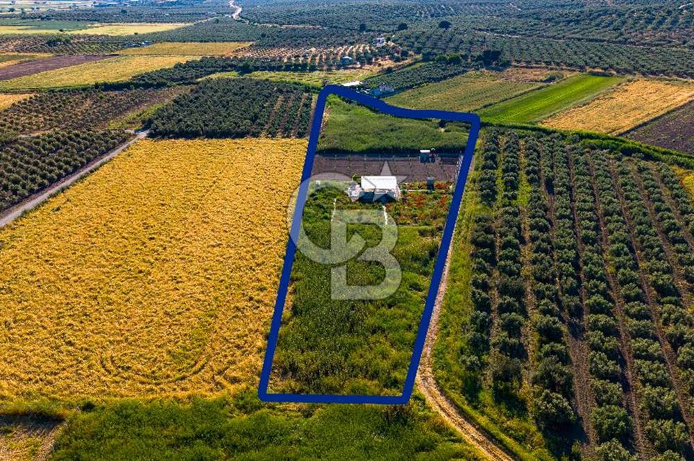 Foça Gerenköy'de Satılık 212 m2 Tarla