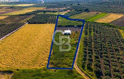 Foça Gerenköy'de Satılık 212 m2 Tarla