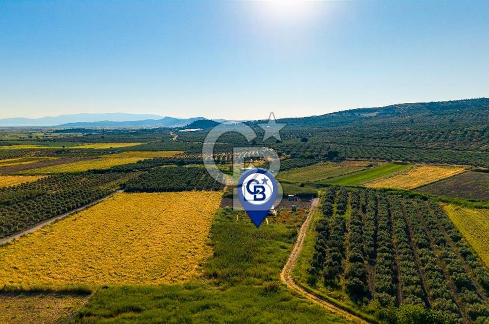 Foça Gerenköy'de Satılık 212 m2 Tarla