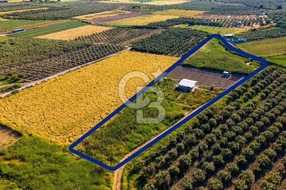 Foça Gerenköy'de Satılık 212 m2 Tarla