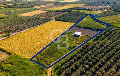 Foça Gerenköy'de Satılık 212 m2 Tarla