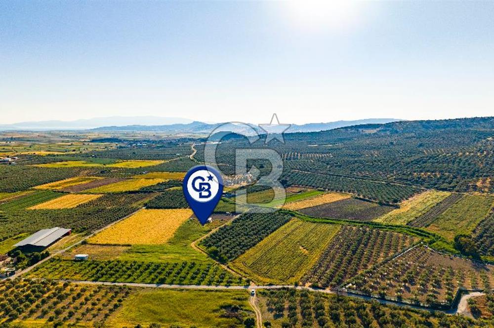 Foça Gerenköy'de Satılık 212 m2 Tarla