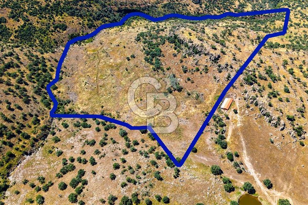 Dikili Kızılçukur'da 150 Dönüm Satılık Tarla