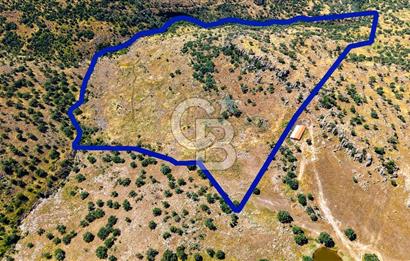 Dikili Kızılçukur'da 150 Dönüm Satılık Tarla