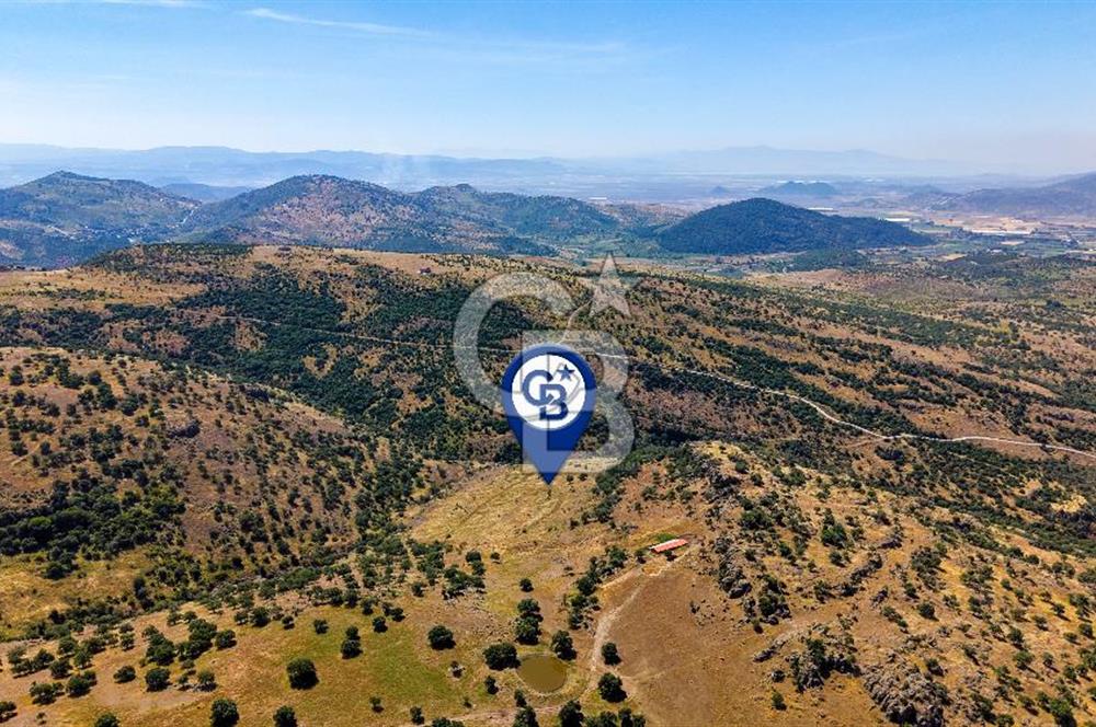 Dikili Kızılçukur'da 150 Dönüm Satılık Tarla