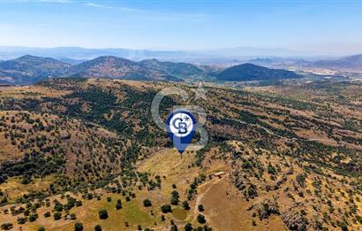 Dikili Kızılçukur'da 150 Dönüm Satılık Tarla