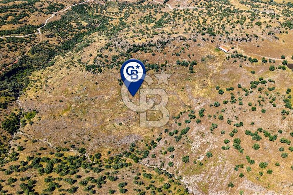 Dikili Kızılçukur'da 150 Dönüm Satılık Tarla