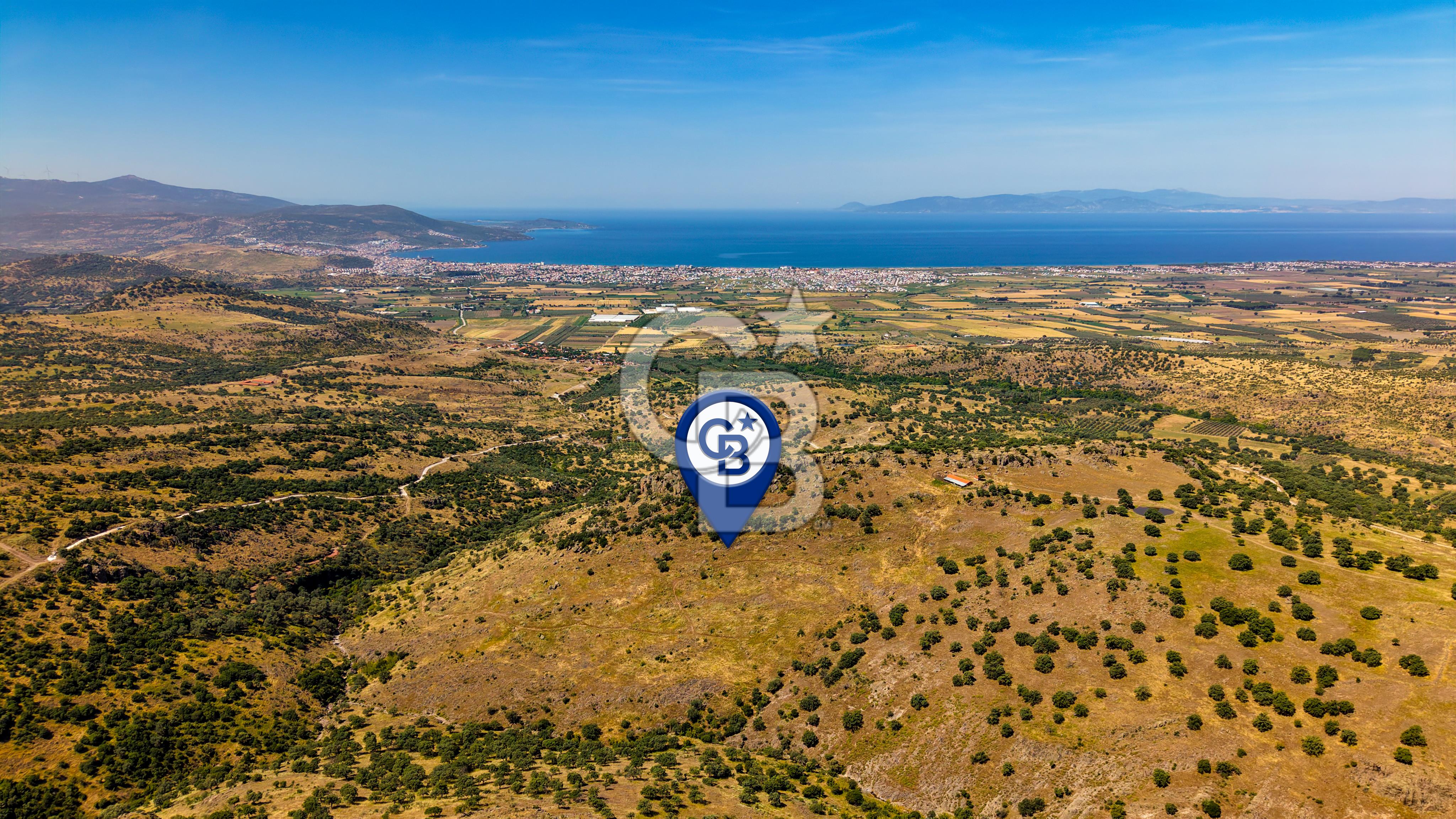 Dikili Kızılçukur'da 150 Dönüm Satılık Tarla