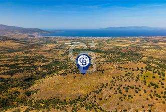 Dikili Kızılçukur'da 150 Dönüm Satılık Tarla - 11 - 352561