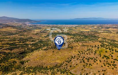 Dikili Kızılçukur'da 150 Dönüm Satılık Tarla