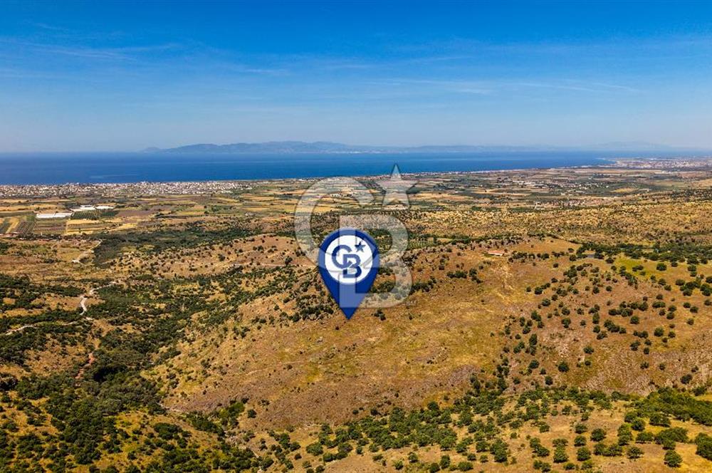 Dikili Kızılçukur'da 150 Dönüm Satılık Tarla