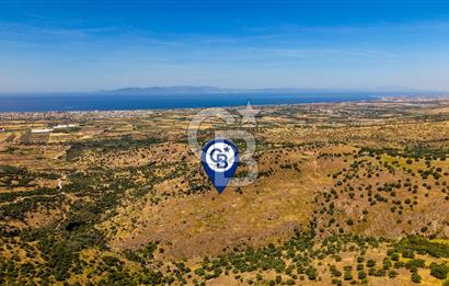 Dikili Kızılçukur'da 150 Dönüm Satılık Tarla