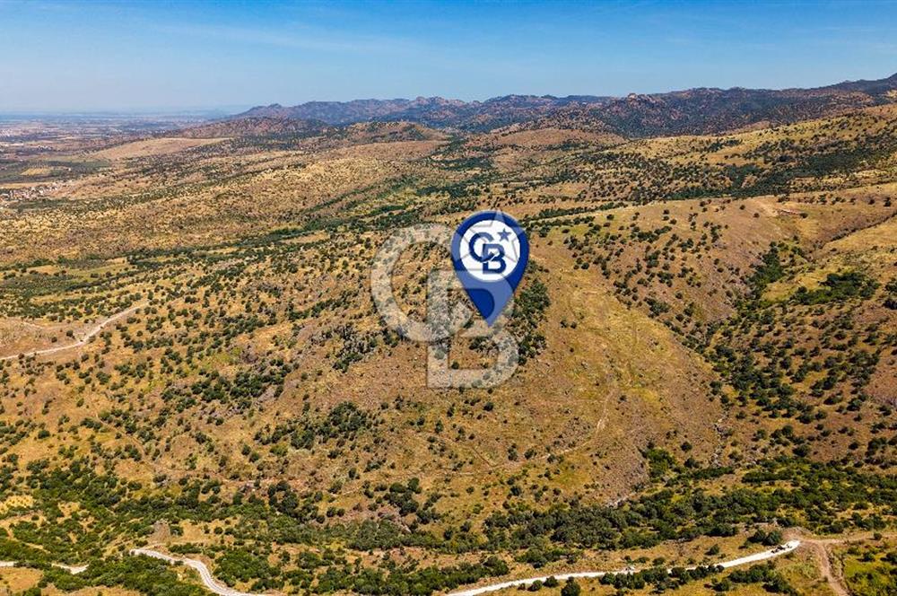 Dikili Kızılçukur'da 150 Dönüm Satılık Tarla