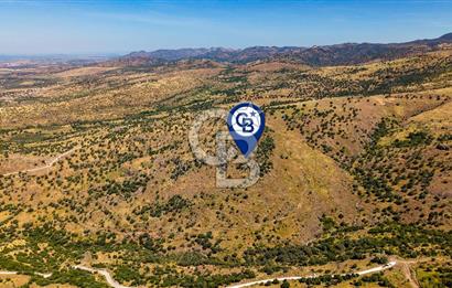 Dikili Kızılçukur'da 150 Dönüm Satılık Tarla
