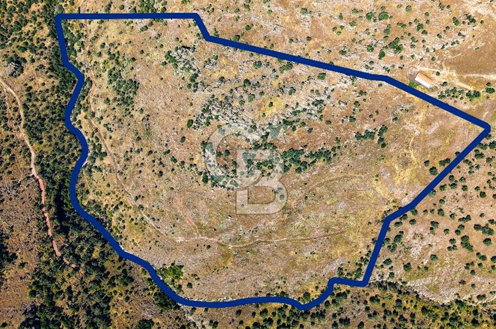 Dikili Kızılçukur'da 150 Dönüm Satılık Tarla