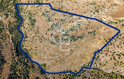 Dikili Kızılçukur'da 150 Dönüm Satılık Tarla