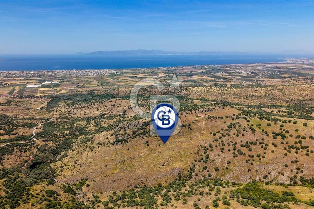 Dikili Kızılçukur'da 150 Dönüm Satılık Tarla