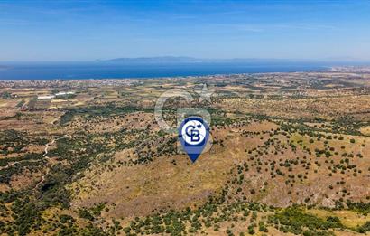 Dikili Kızılçukur'da 150 Dönüm Satılık Tarla