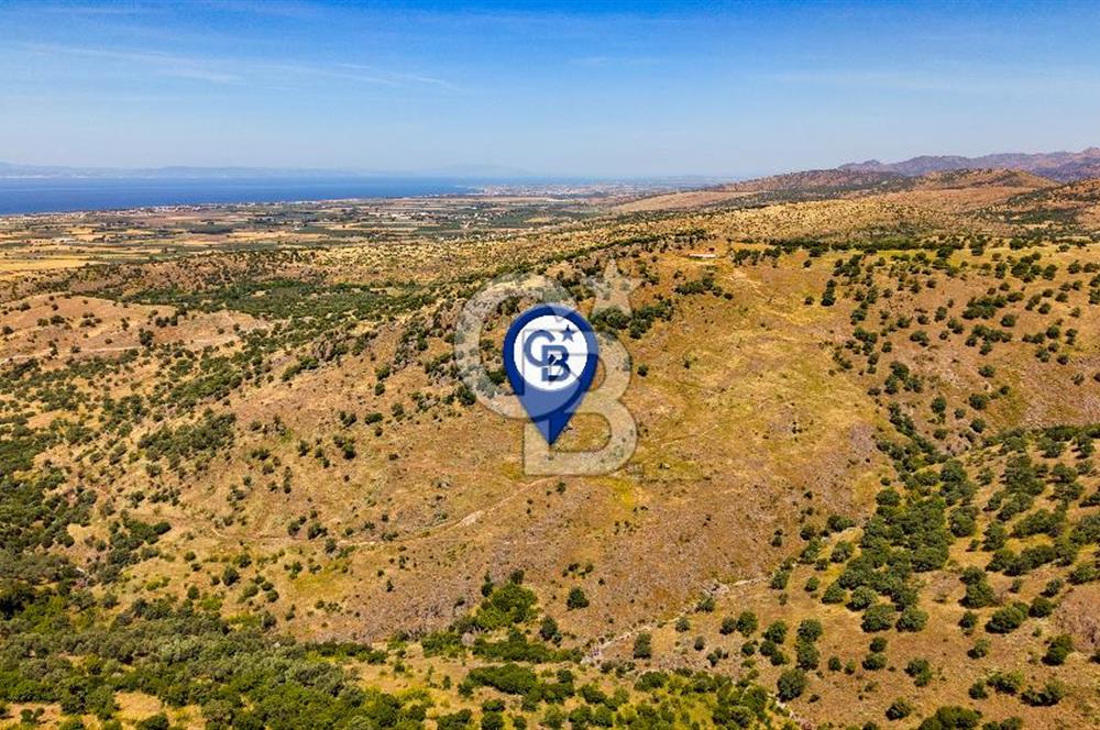 Dikili Kızılçukur'da 150 Dönüm Satılık Tarla