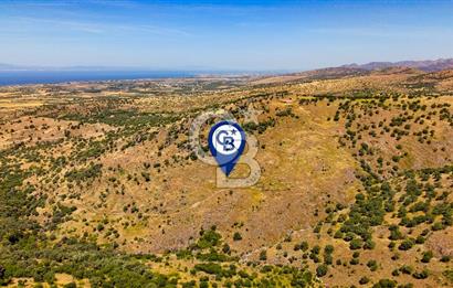 Dikili Kızılçukur'da 150 Dönüm Satılık Tarla