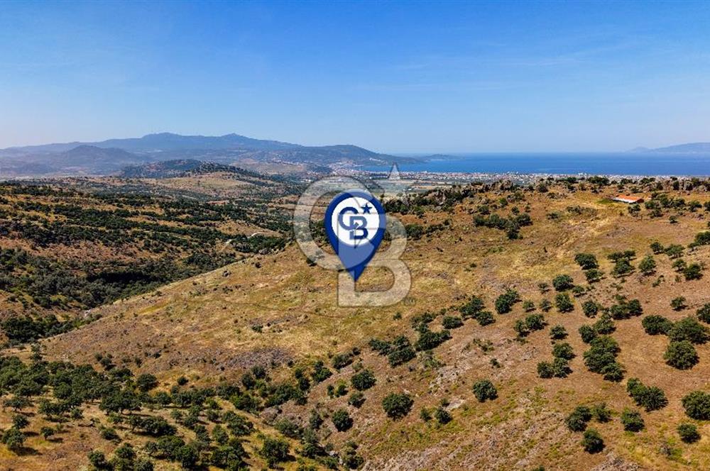 Dikili Kızılçukur'da 150 Dönüm Satılık Tarla