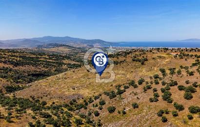 Dikili Kızılçukur'da 150 Dönüm Satılık Tarla