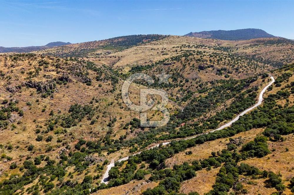 Dikili Kızılçukur'da 150 Dönüm Satılık Tarla