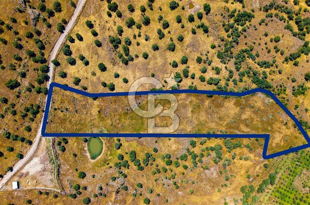 Dikili Kızılçukur'da 17.446 m2 Satılık Tarla
