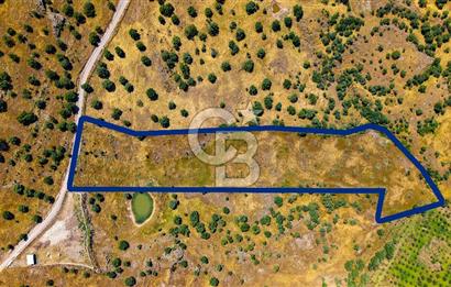 Dikili Kızılçukur'da 17.446 m2 Satılık Tarla