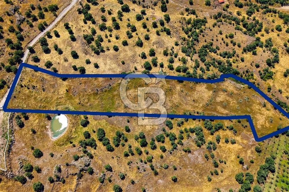 Dikili Kızılçukur'da 17.446 m2 Satılık Tarla