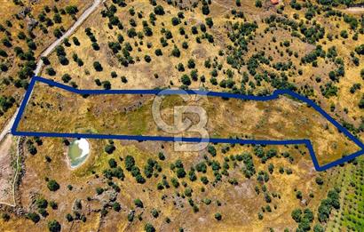 Dikili Kızılçukur'da 17.446 m2 Satılık Tarla